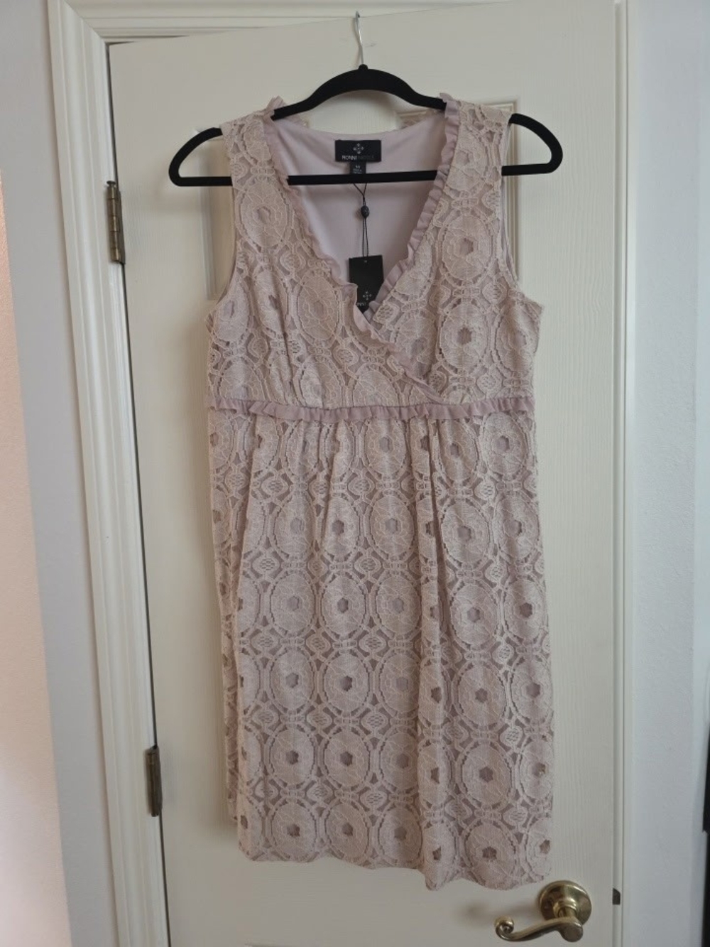 Ronni Nicole Lace V-Neck Sleeveless Dress in Blush